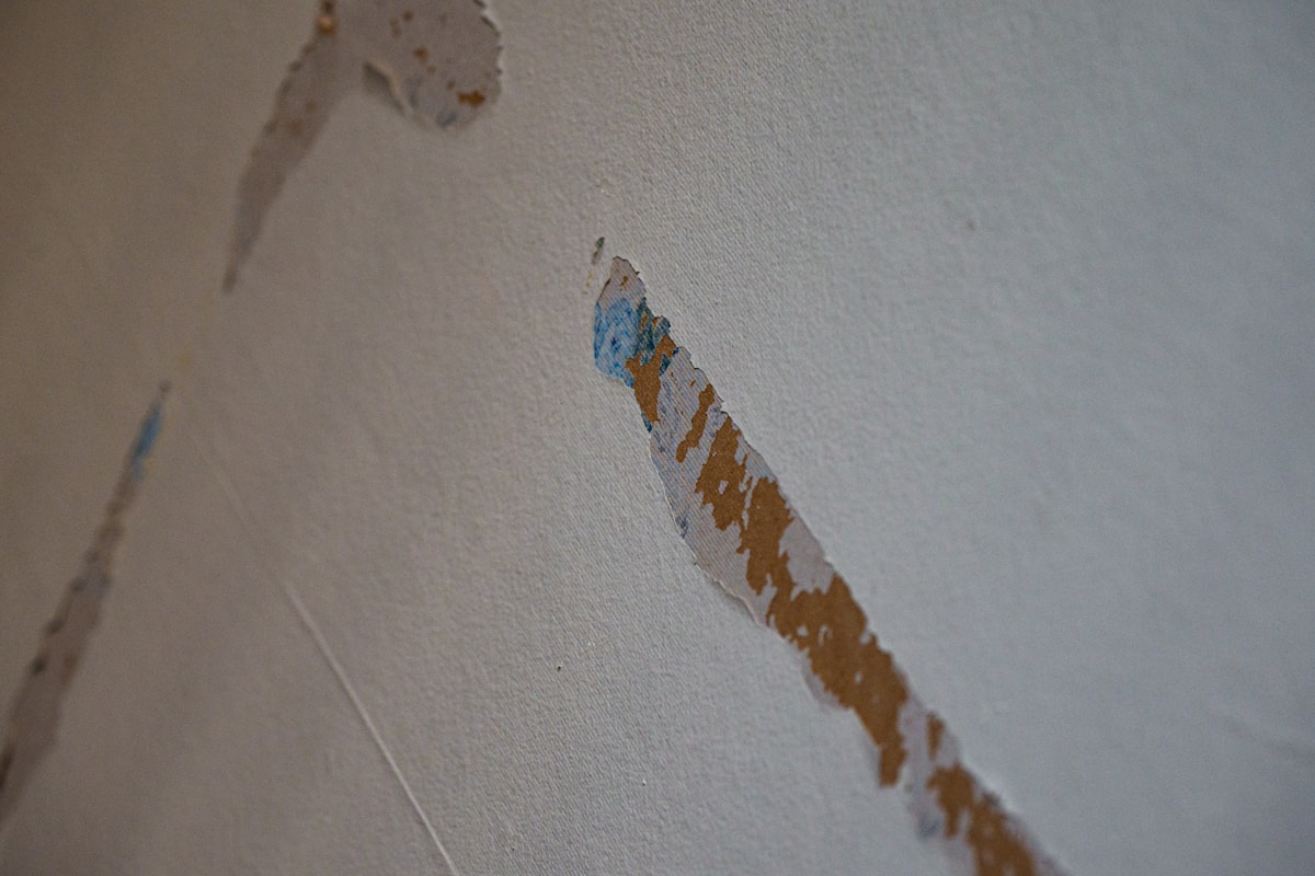 Water Extraction service in Biloxi, MS